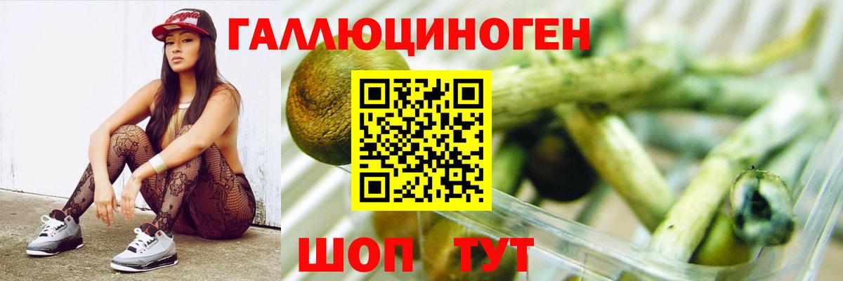 Галлюциногенные грибы прущие грибы  Галлюциногенные грибы MAGIC MUSHROOMS  Воскресенск  Вход с VPN 